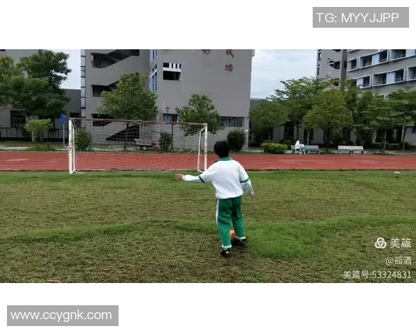 武汉排球队心理素质提升之路：聚焦排球运动中的心理挑战与应对策略