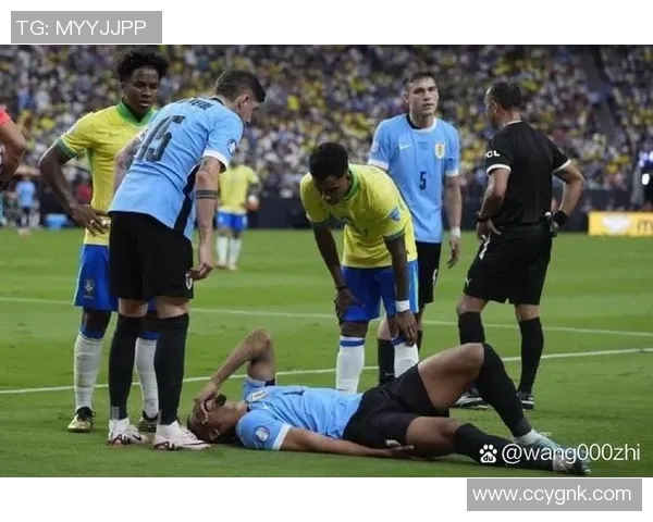 2015美洲杯巴西队对决精彩回顾与赛后分析